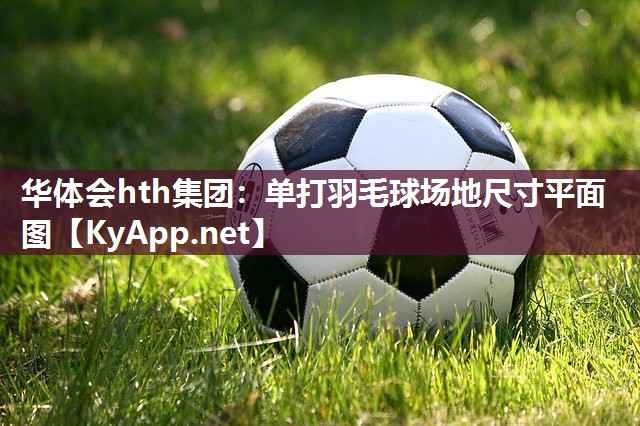 华体会hth集团：单打羽毛球场地尺寸平面图