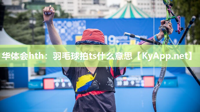 羽毛球拍ts什么意思