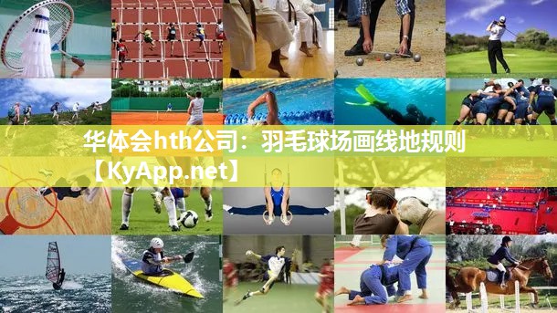 羽毛球场画线地规则