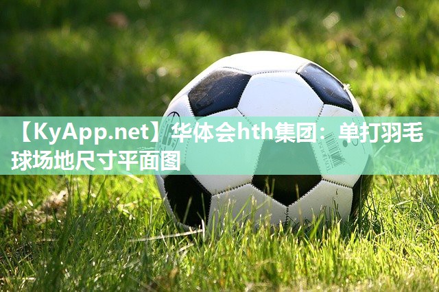 单打羽毛球场地尺寸平面图