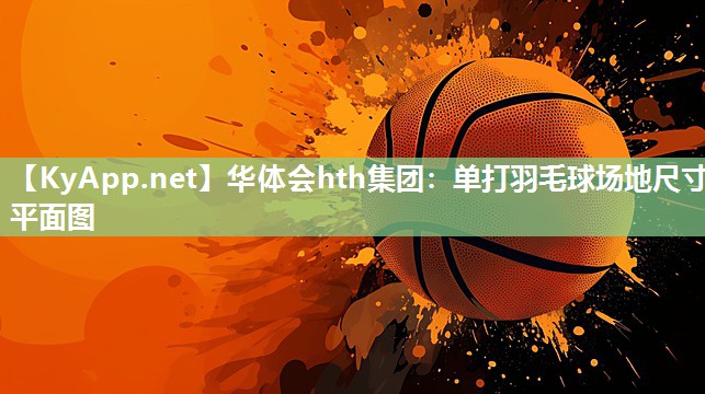单打羽毛球场地尺寸平面图