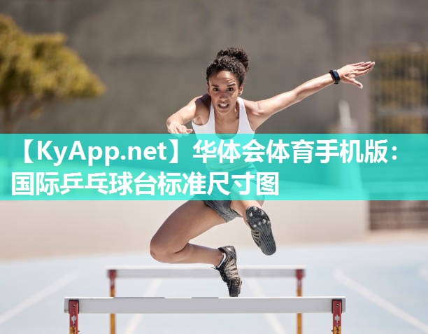 国际乒乓球台标准尺寸图