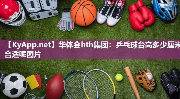 乒乓球台高多少厘米合适呢图片