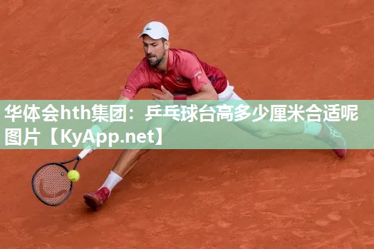 乒乓球台高多少厘米合适呢图片